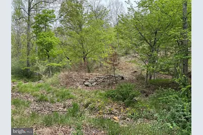 Rock Gap, Berkeley Springs, WV 25411 - Photo 4