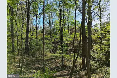 187 Sunny Meadow Place, Berkeley Springs, WV 25411 - Photo 78