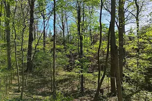 187 Sunny Meadow Place, Berkeley Springs, WV 25411 - Photo 78