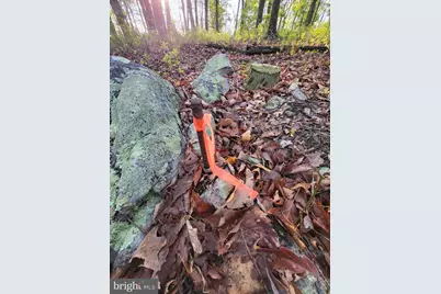 Lot 7 Justin Lane, Great Cacapon, WV 25422 - Photo 22