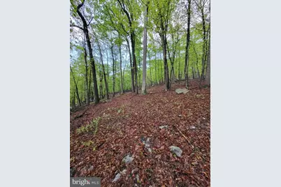 Lot 7 Justin Lane, Great Cacapon, WV 25422 - Photo 12