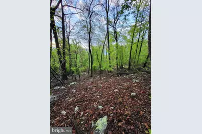 Lot 7 Justin Lane, Great Cacapon, WV 25422 - Photo 4