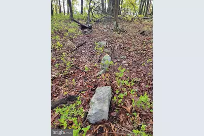 Lot 7 Justin Lane, Great Cacapon, WV 25422 - Photo 24