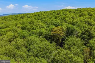 196 Flagstone Ln, Berkeley Springs, WV 25411 - Photo 48