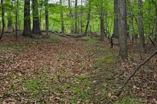 0 Audubon Rd, Hedgesville, WV 25427 - Photo 1