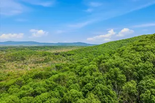 98 Ore Trail, Berkeley Springs, WV 25411 - Photo 30
