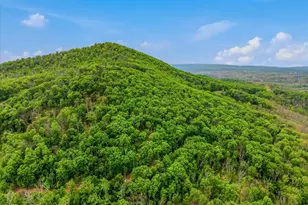 98 Ore Trail, Berkeley Springs, WV 25411 - Photo 42