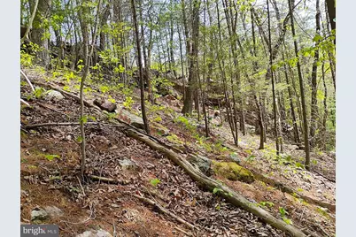Sir Johns Run Rd, Berkeley Springs, WV 25411 - Photo 18