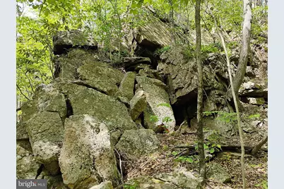 Sir Johns Run Rd, Berkeley Springs, WV 25411 - Photo 34