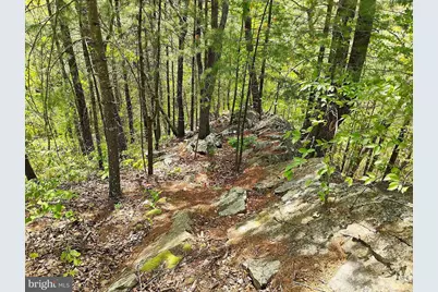 Sir Johns Run Rd, Berkeley Springs, WV 25411 - Photo 66