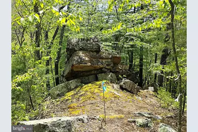 Sir Johns Run Rd, Berkeley Springs, WV 25411 - Photo 10
