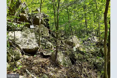 Sir Johns Run Rd, Berkeley Springs, WV 25411 - Photo 28