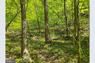 Sir Johns Run Rd, Berkeley Springs, WV 25411 - Photo 2