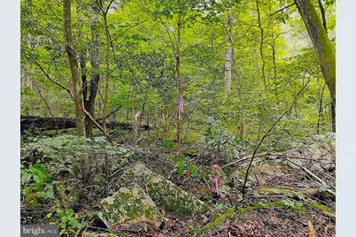 Sir Johns Run Rd, Berkeley Springs, WV 25411 - Photo 30