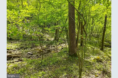 Sir Johns Run Rd, Berkeley Springs, WV 25411 - Photo 42