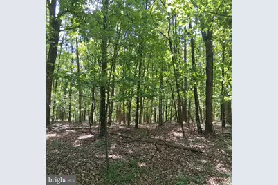 Lot 1 Youngblood Road, Great Cacapon, WV 25422 - Photo 4