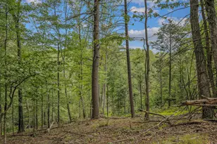 237 Redbud Ln, Hedgesville, WV 25427 - Photo 54