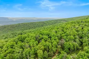 599 Breathless Way, Berkeley Springs, WV 25411 - Photo 48