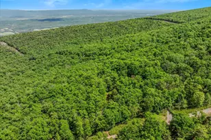 599 Breathless Way, Berkeley Springs, WV 25411 - Photo 46