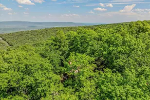599 Breathless Way, Berkeley Springs, WV 25411 - Photo 42