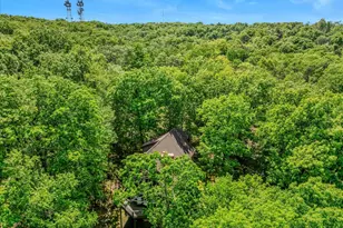 599 Breathless Way, Berkeley Springs, WV 25411 - Photo 56