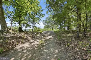 1909 Spohrs Rd, Berkeley Springs, WV 25411 - Photo 64