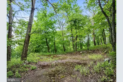 651 Breathless Way, Berkeley Springs, WV 25411 - Photo 8