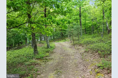 651 Breathless Way, Berkeley Springs, WV 25411 - Photo 4