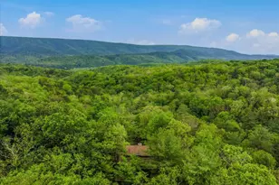 560 Moss Ln, Great Cacapon, WV 25422 - Photo 50