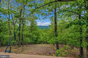 560 Moss Ln, Great Cacapon, WV 25422 - Photo 4