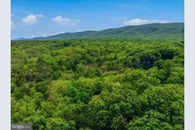 560 Moss Lane, Great Cacapon, WV 25422 - Photo 48