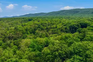 560 Moss Ln, Great Cacapon, WV 25422 - Photo 48