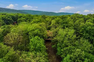 560 Moss Ln, Great Cacapon, WV 25422 - Photo 46