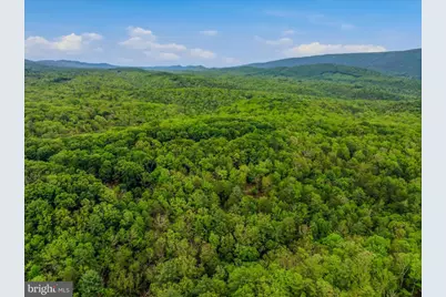 560 Moss Lane, Great Cacapon, WV 25422 - Photo 60
