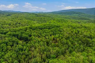 560 Moss Ln, Great Cacapon, WV 25422 - Photo 60
