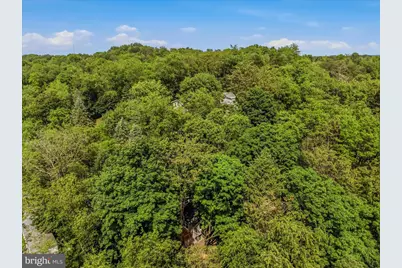 64 Hobday Lane, Berkeley Springs, WV 25411 - Photo 38