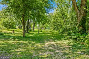 900 Joshua Ln, Berkeley Springs, WV 25411 - Photo 48