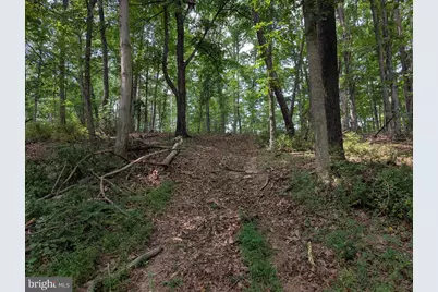 Sir Johns Run Road, Berkeley Springs, WV 25411 - Photo 6