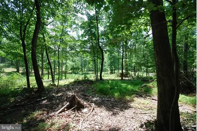 Lot 12 Feather Bed Lane, Hedgesville, WV 25427 - Photo 26