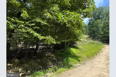 Roberts Road, Great Cacapon, WV 25422 - Photo 8