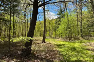 84 Alex Ln, Berkeley Springs, WV 25411 - Photo 1