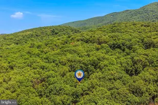 250 Flat Ridge Rd, Great Cacapon, WV 25422 - Photo 52