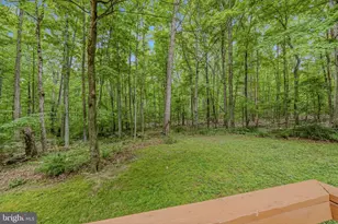 221 Mountainside Rd, Berkeley Springs, WV 25411 - Photo 22