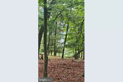 80 Trofton Hollow Court, Great Cacapon, WV 25422 - Photo 24