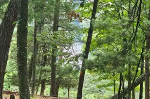80 Trofton Hollow Ct, Great Cacapon, WV 25422 - Photo 24