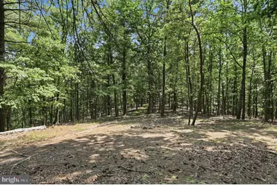 Chase Woods Lane Lots 2-6, Great Cacapon, WV 25422 - Photo 22