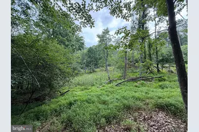 Hungaria Avenue, Berkeley Springs, WV 25411 - Photo 10