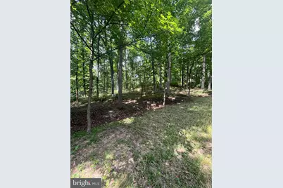 43 Seneca Ridge Road, Great Cacapon, WV 25422 - Photo 4