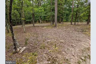 843 Cedar Run Lane, Great Cacapon, WV 25422 - Photo 46