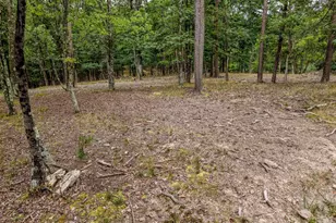 843 Cedar Run Ln, Great Cacapon, WV 25422 - Photo 46